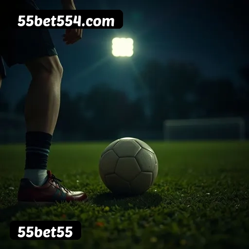 Certificações de segurança da 55bet55